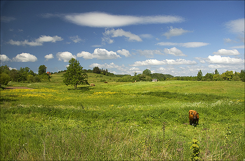 Rāzna National Park